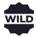 wild symbol